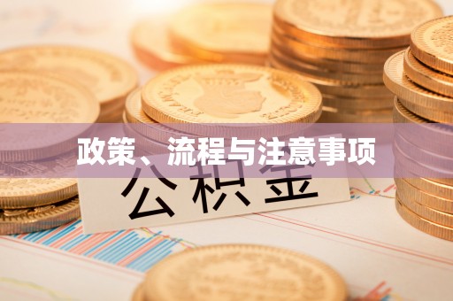 凤翔政策、流程与注意事项