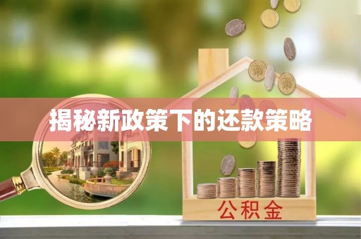 凤翔揭秘新政策下的还款策略