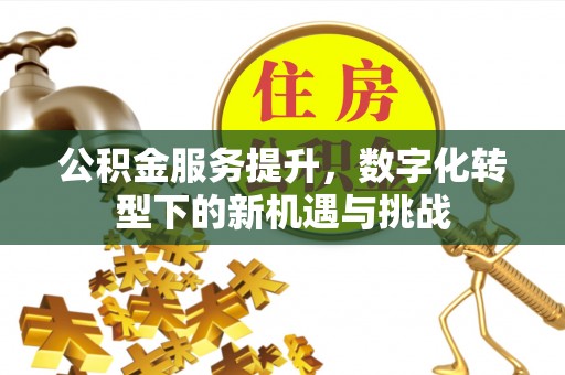凤翔公积金服务提升，数字化转型下的新机遇与挑战