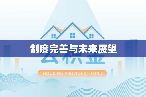 凤翔制度完善与未来展望