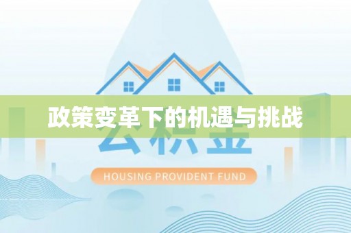 凤翔政策变革下的机遇与挑战