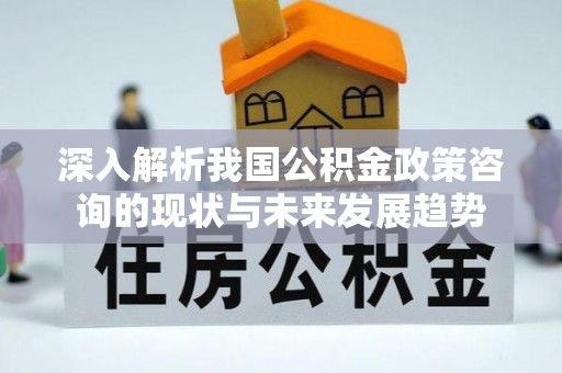 凤翔深入解析我国公积金政策咨询的现状与未来发展趋势