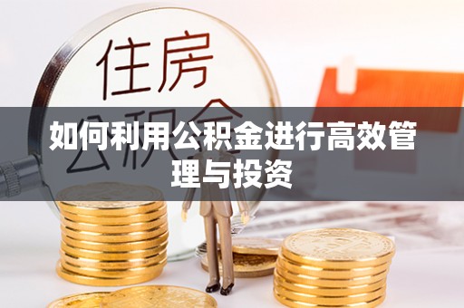 凤翔如何利用公积金进行高效管理与投资