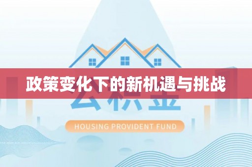凤翔政策变化下的新机遇与挑战