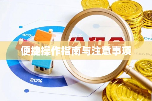 凤翔便捷操作指南与注意事项